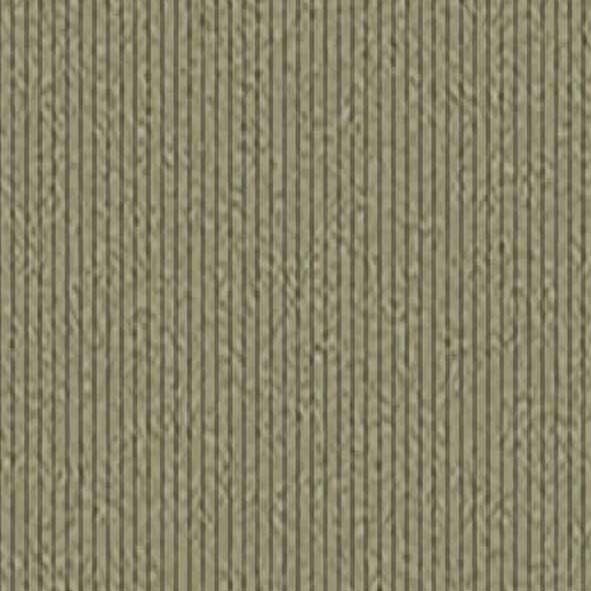 苔蘚綠