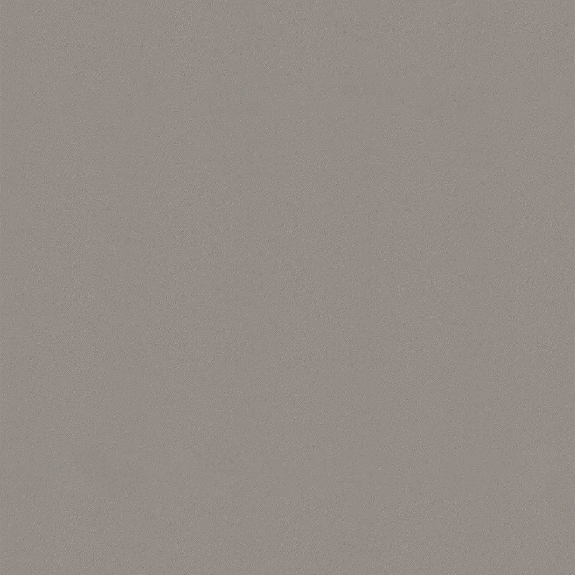 鼴鼠灰