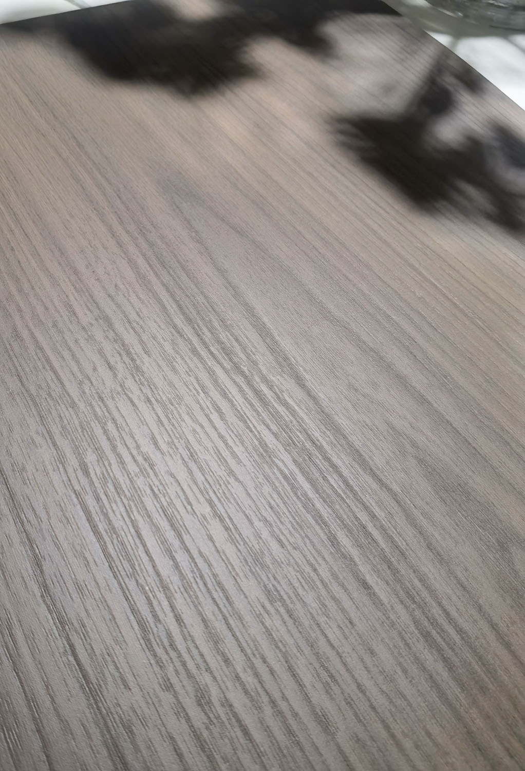 安科納胡桃
